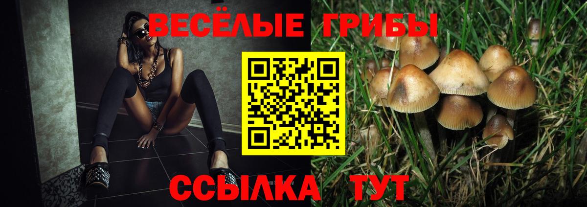 Галлюциногенные грибы Magic Shrooms Кумертау